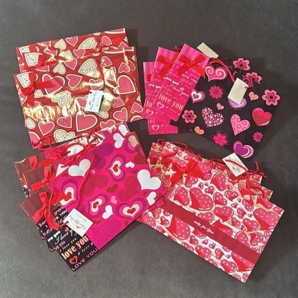 Gift Bag Bundle of 12 Valentine’s Day Birthday or Special Occasion Gift Bags NEW